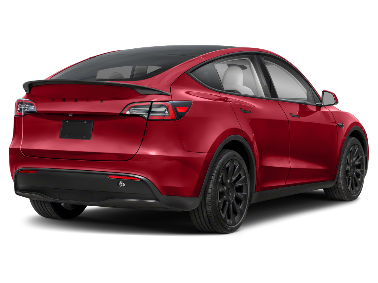 Used 2025 Tesla Model Y Performance with VIN 7SAYGDEF1SA370204 for sale in Bristol, TN