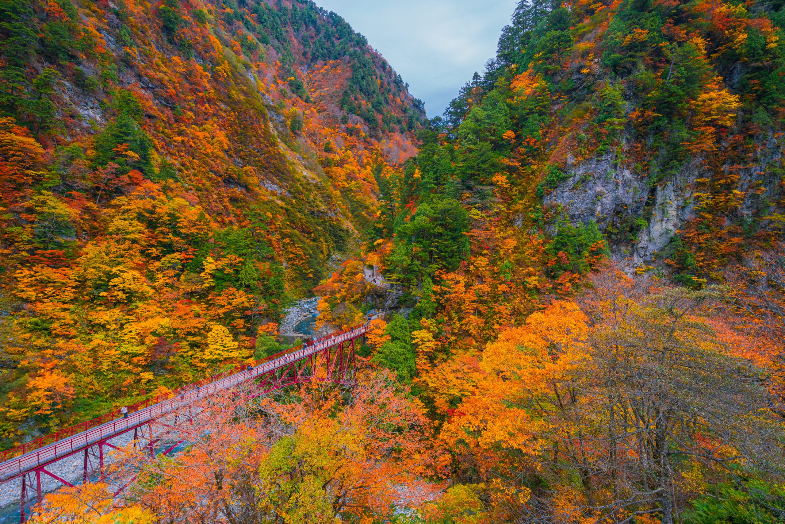 A photo of a walking bridge in the mountains during fall
