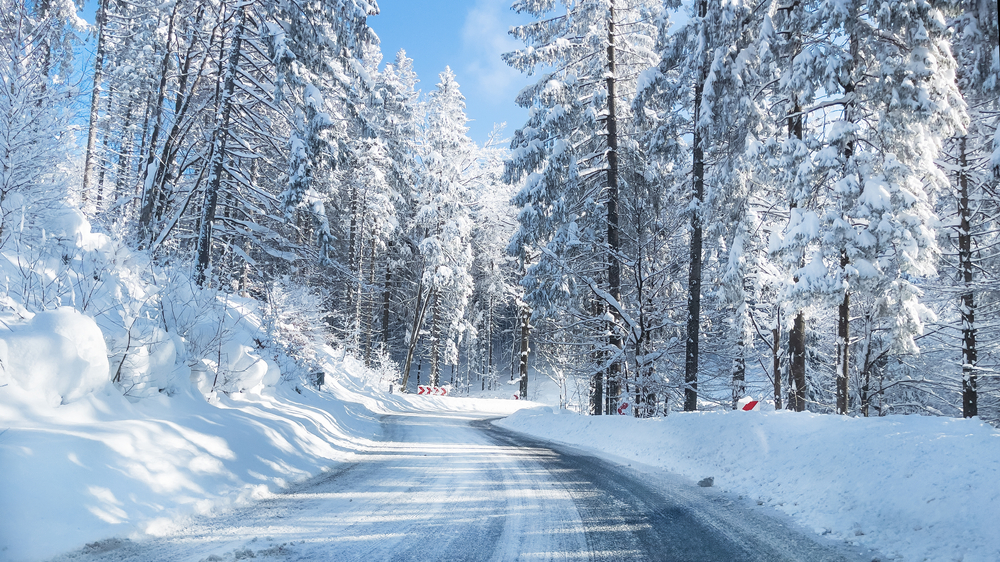 A snowy forest and road.