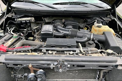 2010 Ford F-150 XL