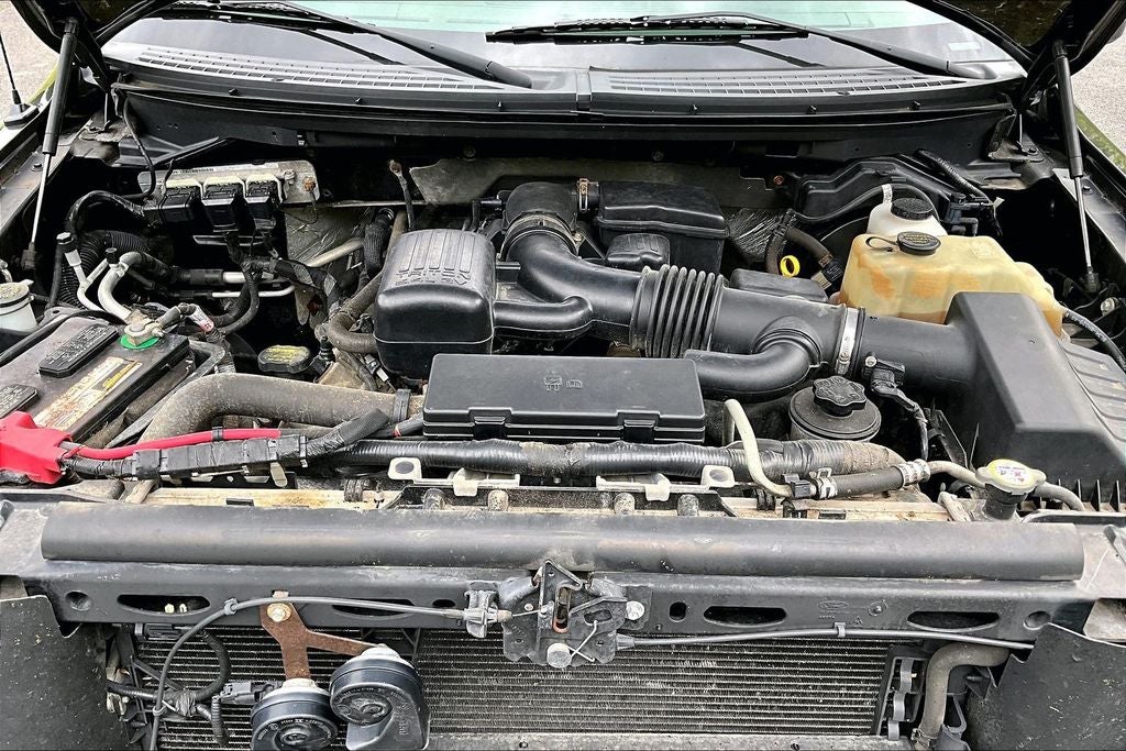 2010 Ford F-150 XL