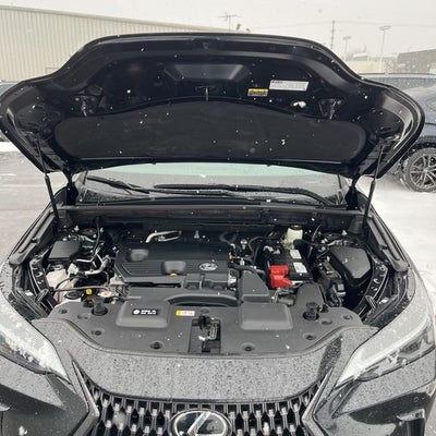 2022 Lexus NX 250 Premium