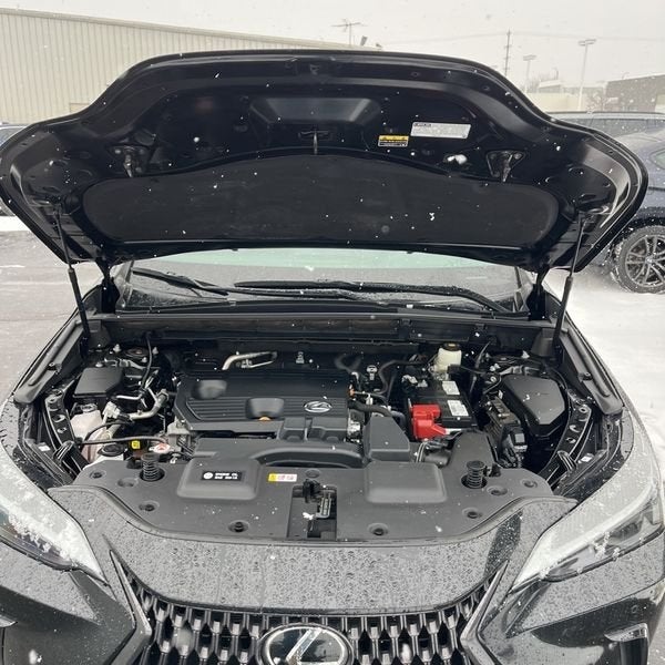 2022 Lexus NX 250 Premium