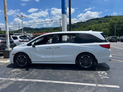 2023 Honda Odyssey Elite