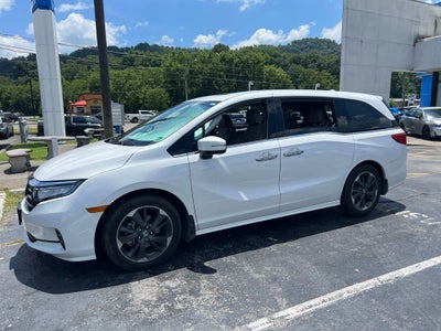 2023 Honda Odyssey Elite