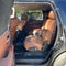 2019 Toyota Sequoia Platinum