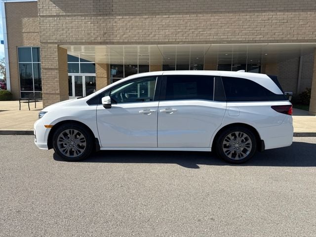 2026 Honda Odyssey - Image 1