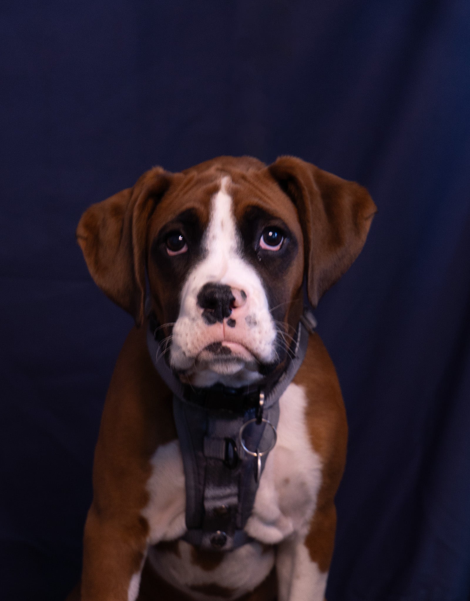 Axle